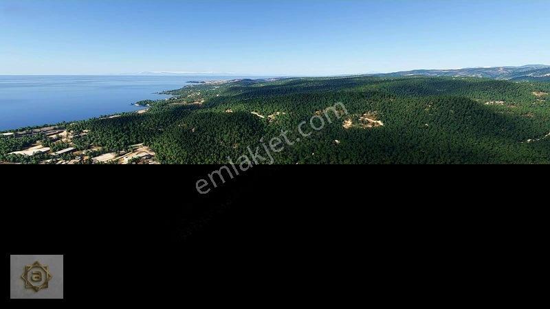 Alanya Avsallar'da Deniz Manzaralı 1 Emsal Yatırımlık Arsa — fotoğraf 19