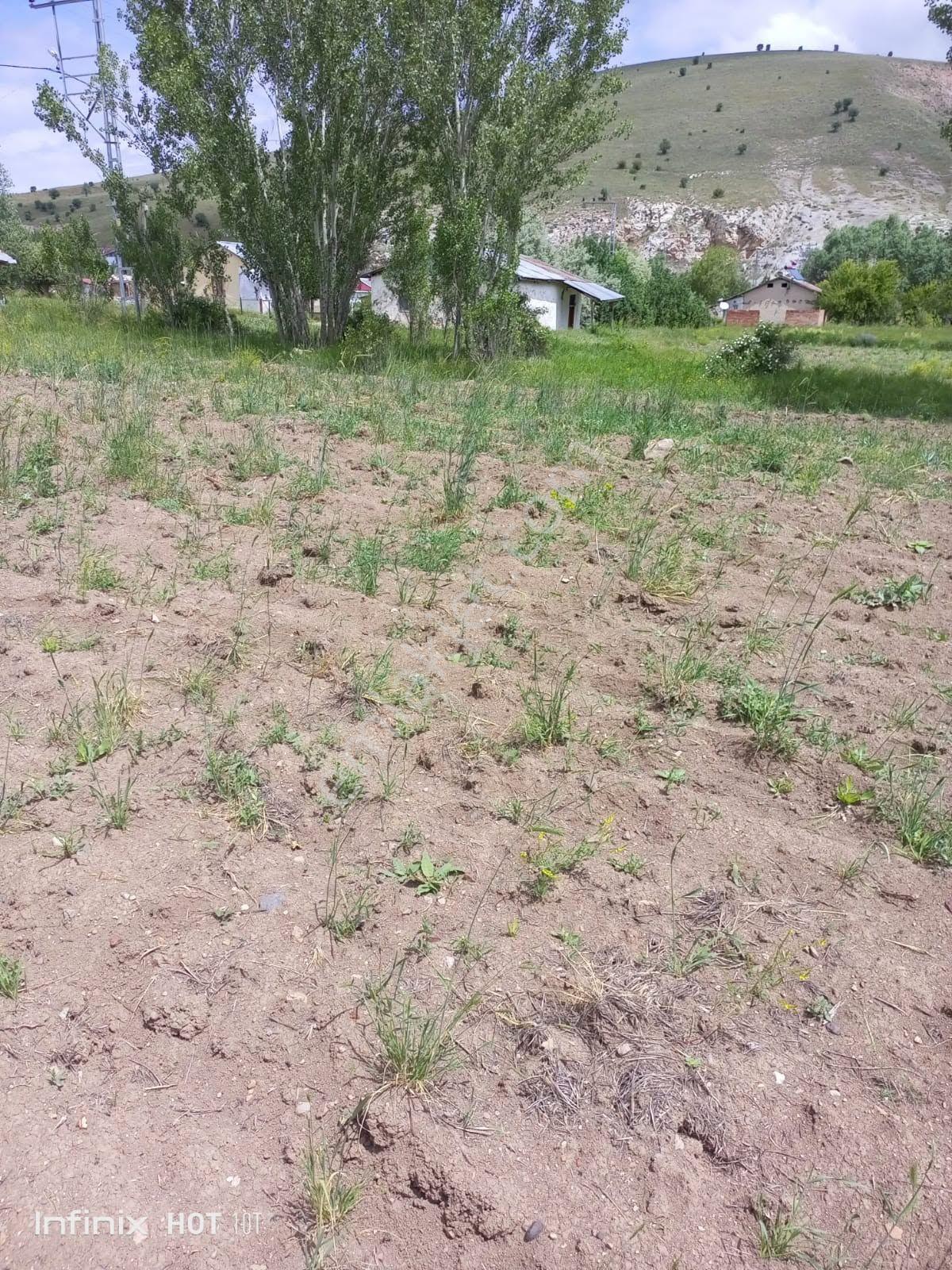 Ağıngözecik Köyü’nde Satılık Toplam 42,1 Dönüm Fırsat Tarlalar — fotoğraf 7