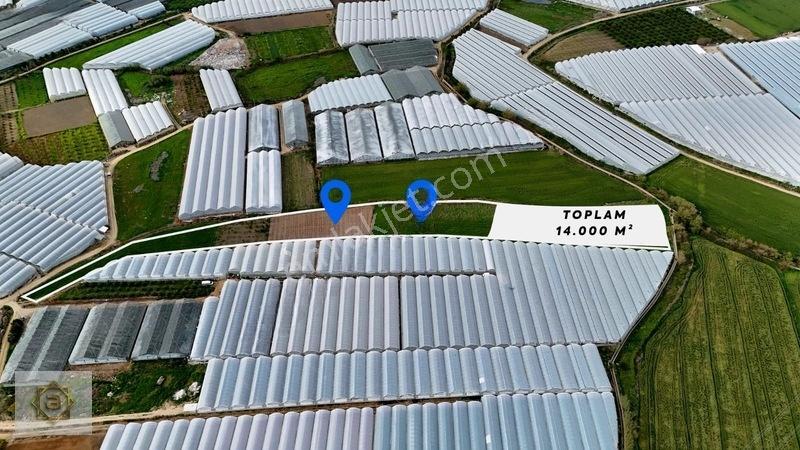 Kemerağzında 5.250 M² Satılık Tarla — fotoğraf 2