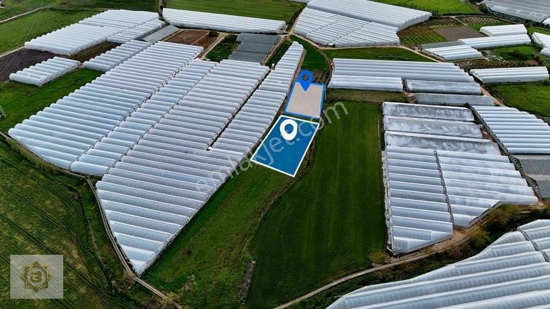 Kemerağzında 5.250 M² Satılık Tarla — fotoğraf 3