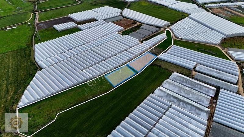Kemerağzında 5.250 M² Satılık Tarla — fotoğraf 4