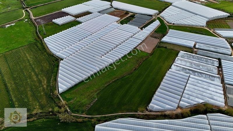 Kemerağzında 5.250 M² Satılık Tarla — fotoğraf 5