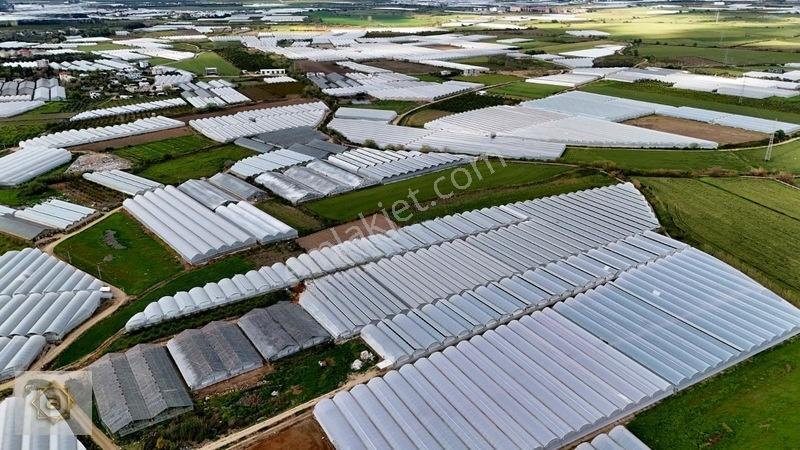 Kemerağzında 5.250 M² Satılık Tarla — fotoğraf 6