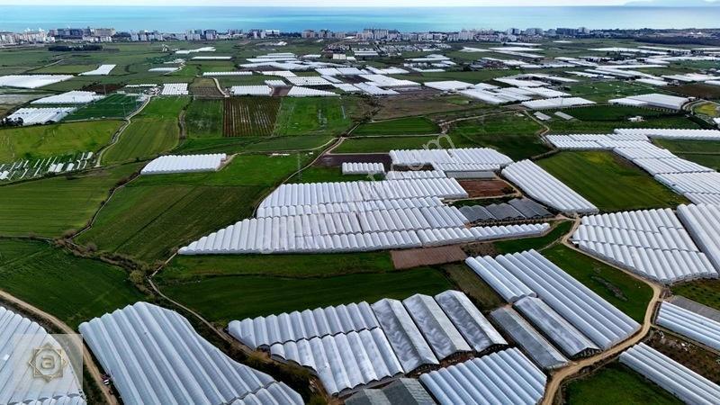 Kemerağzında 5.250 M² Satılık Tarla — fotoğraf 8