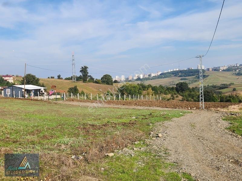 Mavi Atlas'Tan Kamalı'Da Yatırımlık 927 M2 İmar Sınırında Hisse