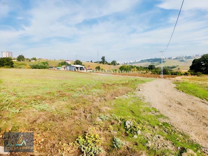 Mavi Atlas'tan Kamalı'da Yatırımlık 927 M2 İmar Sınırında Hisse — fotoğraf 2