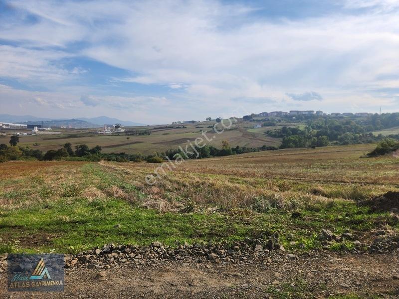Mavi Atlas'tan Kamalı'da Yatırımlık 927 M2 İmar Sınırında Hisse — fotoğraf 4