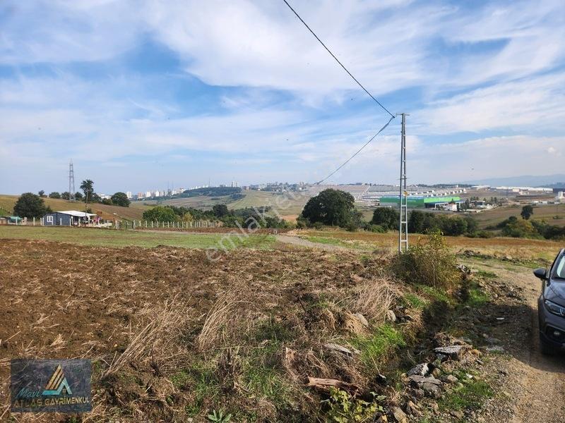Mavi Atlas'tan Kamalı'da Yatırımlık 927 M2 İmar Sınırında Hisse — fotoğraf 8
