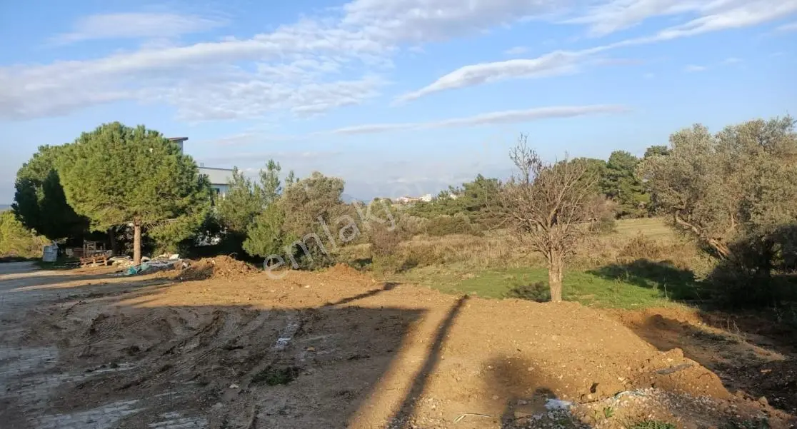 Urla Kalabak'Ta Doğa İle İç İçe 247 M2 Satılık Arsa