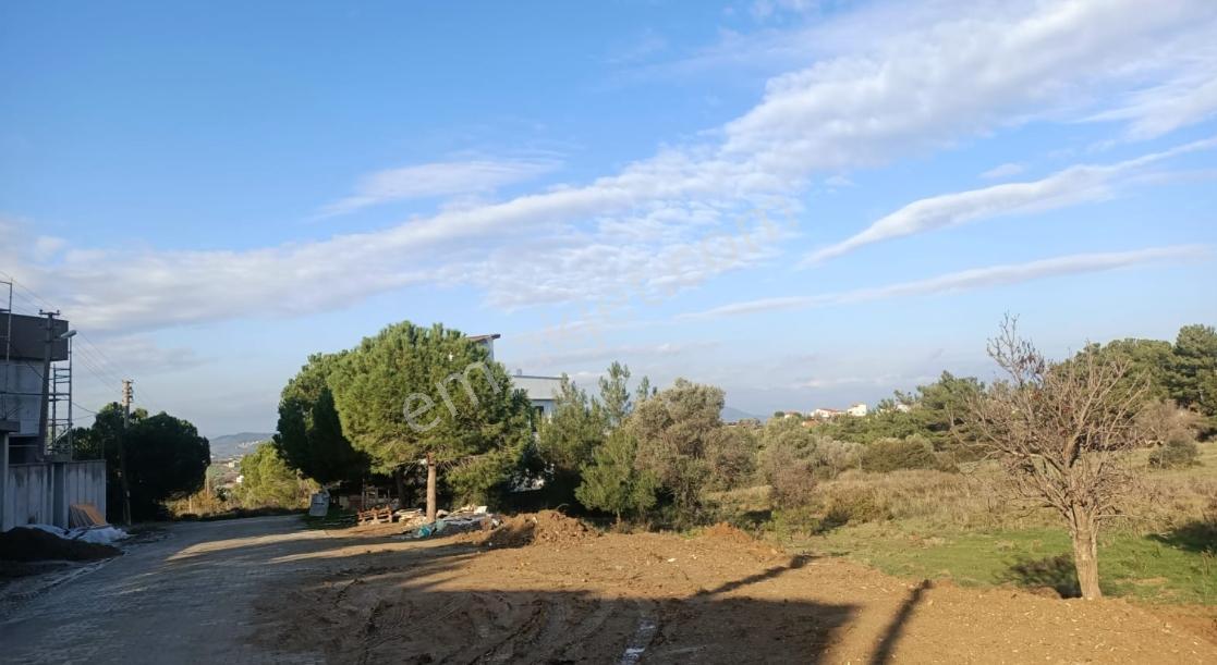 Urla Kalabak'ta Doğa İle İç İçe 247 M2 Satılık Arsa — fotoğraf 3