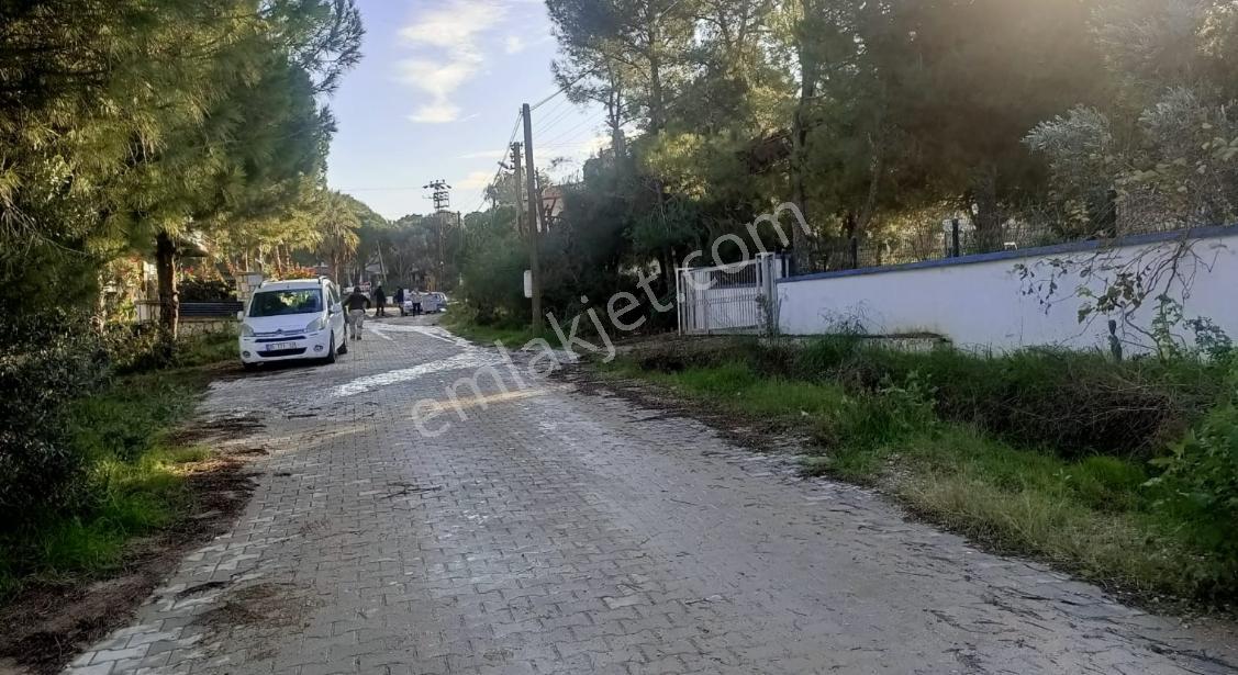 Urla Kalabak'ta Doğa İle İç İçe 247 M2 Satılık Arsa — fotoğraf 4