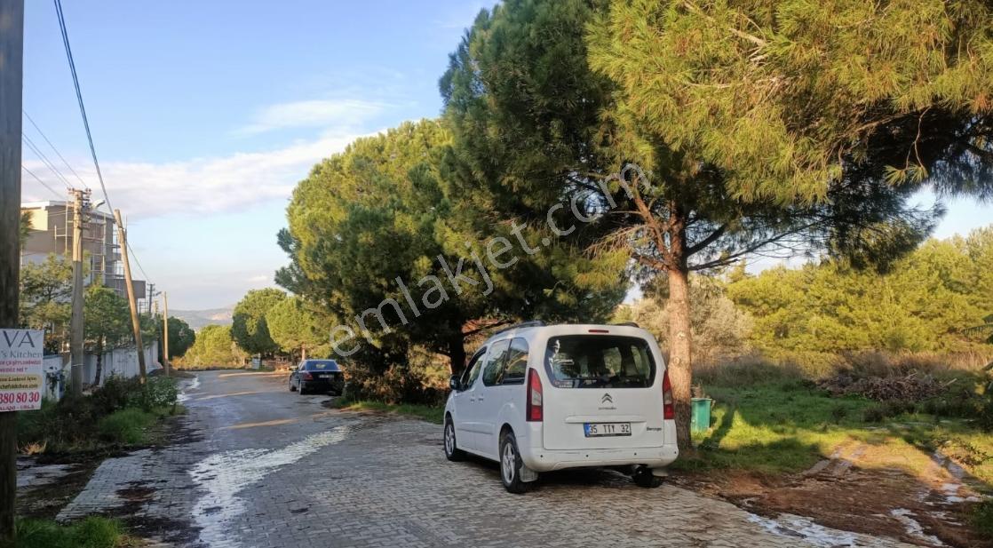 Urla Kalabak'ta Doğa İle İç İçe 247 M2 Satılık Arsa — fotoğraf 5