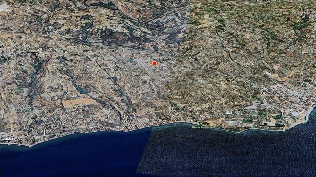 Kaya Emlak'dan Şarköy Mürefte'de Deniz Manz. Satılık Zeytinlik — fotoğraf 5