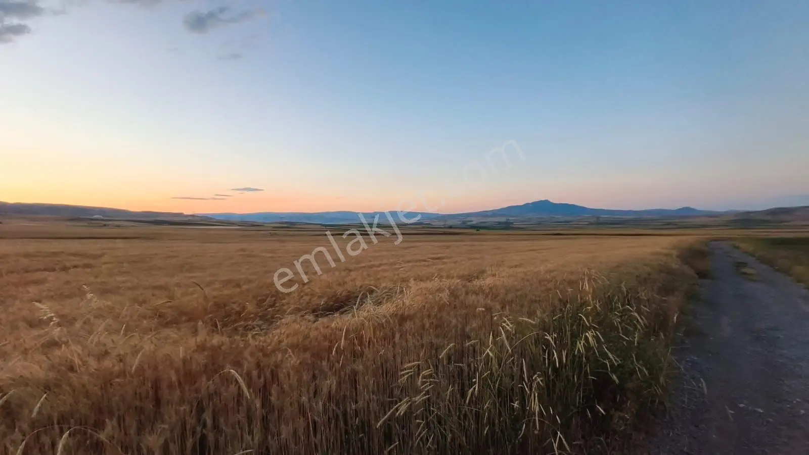 Temelli Bacı Mahallesinde 475 M2 Satılık Yatırımlık Tarla Hissesi — fotoğraf 3