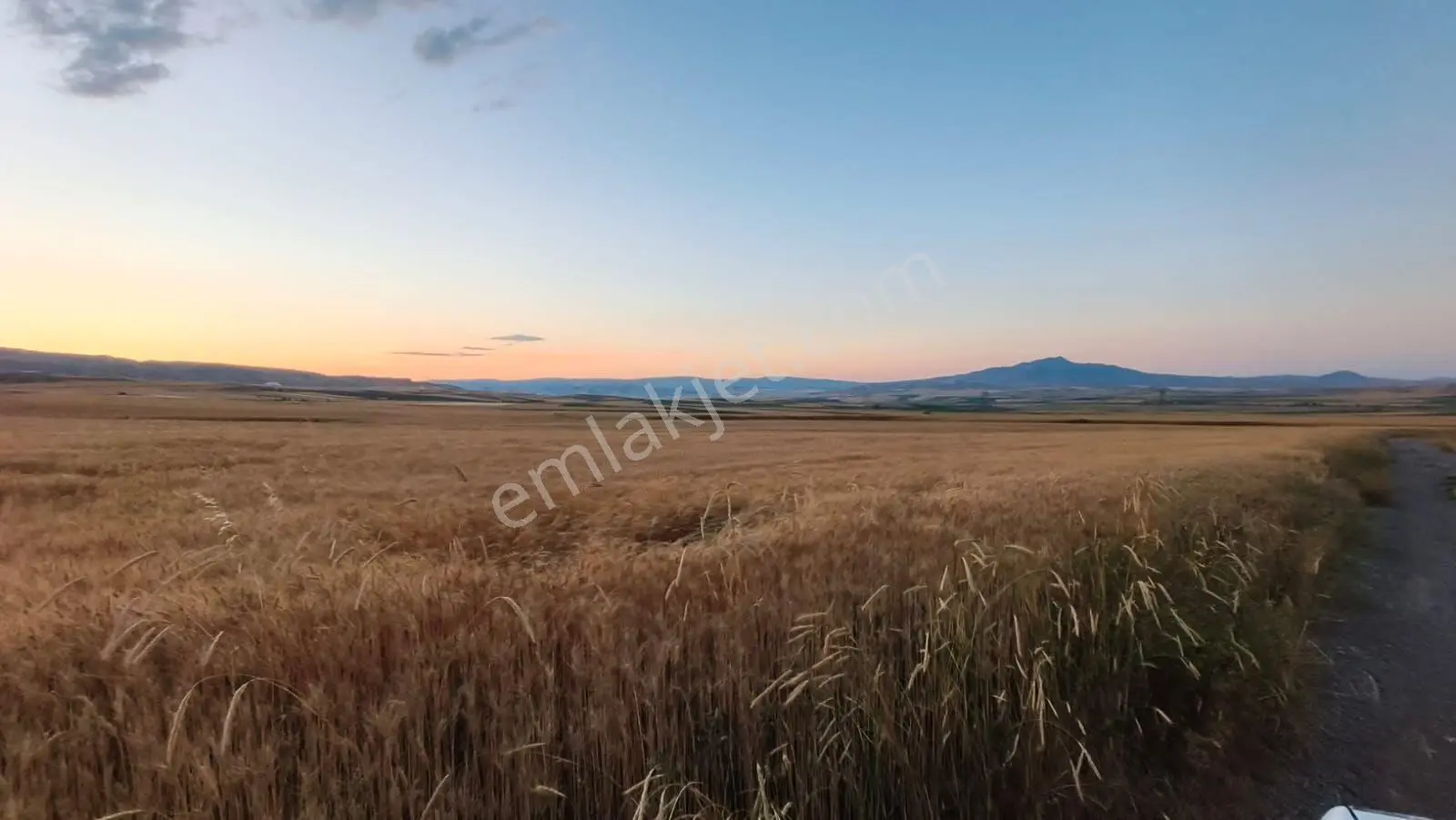 Temelli Bacı Mahallesinde 475 M2 Satılık Yatırımlık Tarla Hissesi — fotoğraf 4