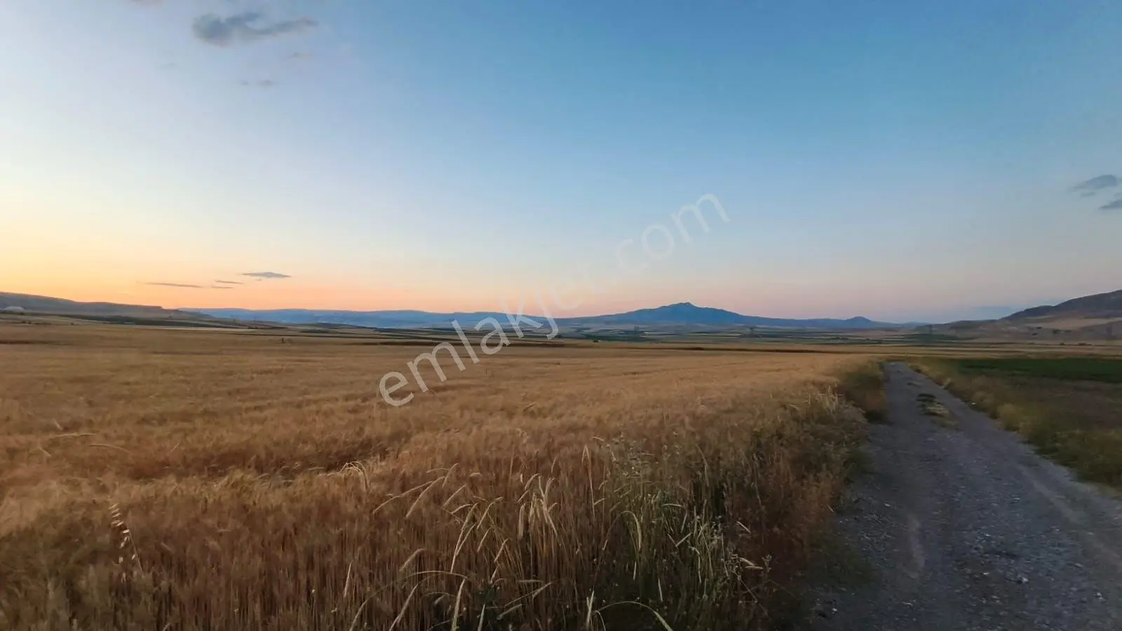 Temelli Bacı Mahallesinde 475 M2 Satılık Yatırımlık Tarla Hissesi — fotoğraf 5