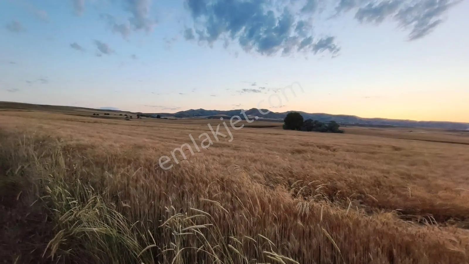 Temelli Bacı Mahallesinde 475 M2 Satılık Yatırımlık Tarla Hissesi — fotoğraf 7