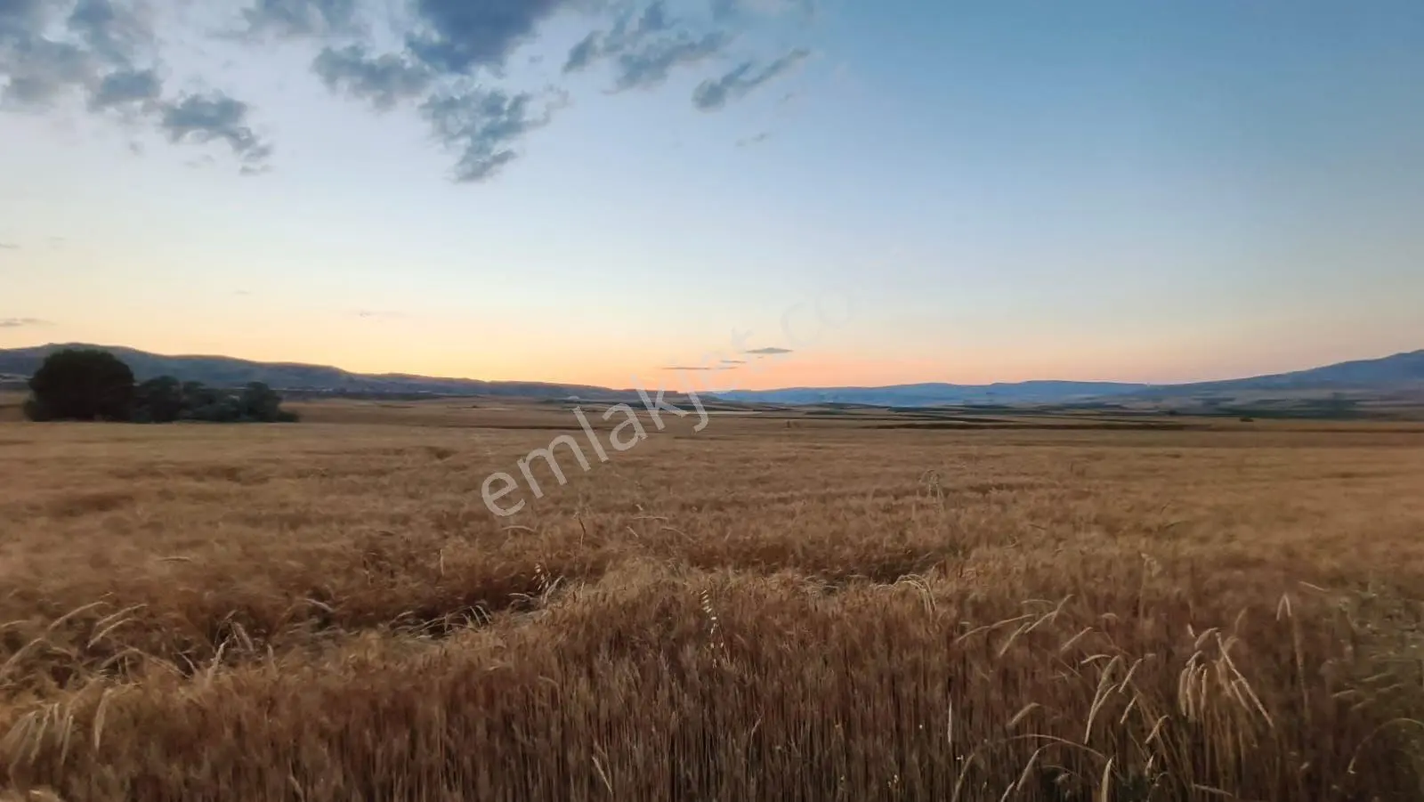 Temelli Bacı Mahallesinde 475 M2 Satılık Yatırımlık Tarla Hissesi — fotoğraf 9
