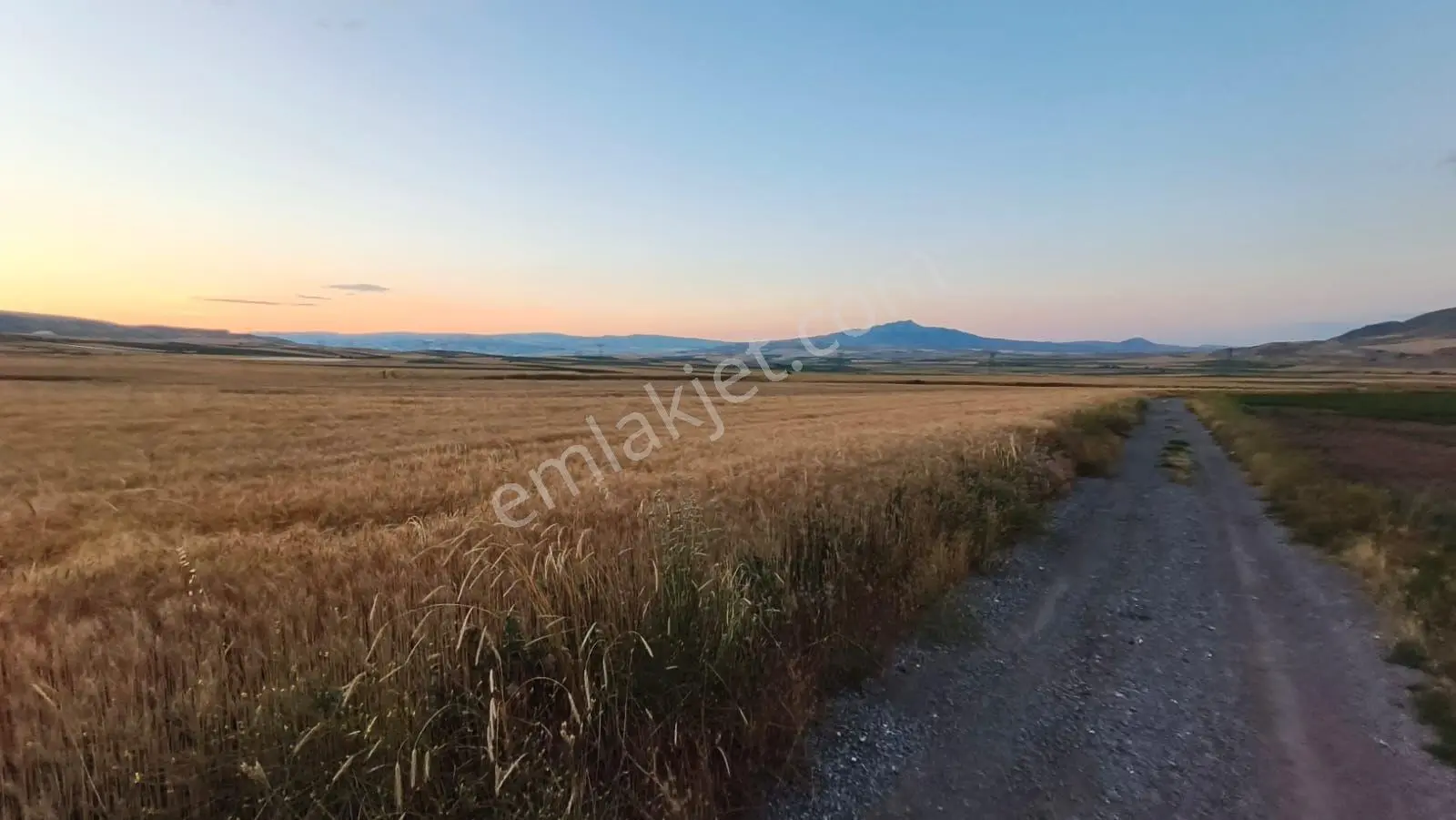 Temelli Bacı Mahallesinde 475 M2 Satılık Yatırımlık Tarla Hissesi — fotoğraf 12