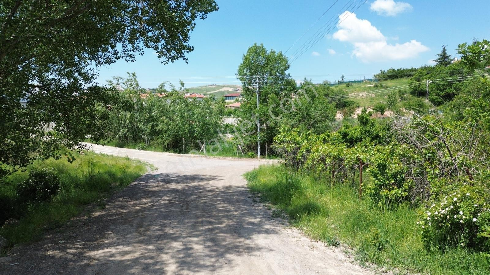 Han'dan Merkezi Konumda Tek Tapu 2 Villalık Köşebaşı Arsa — fotoğraf 34