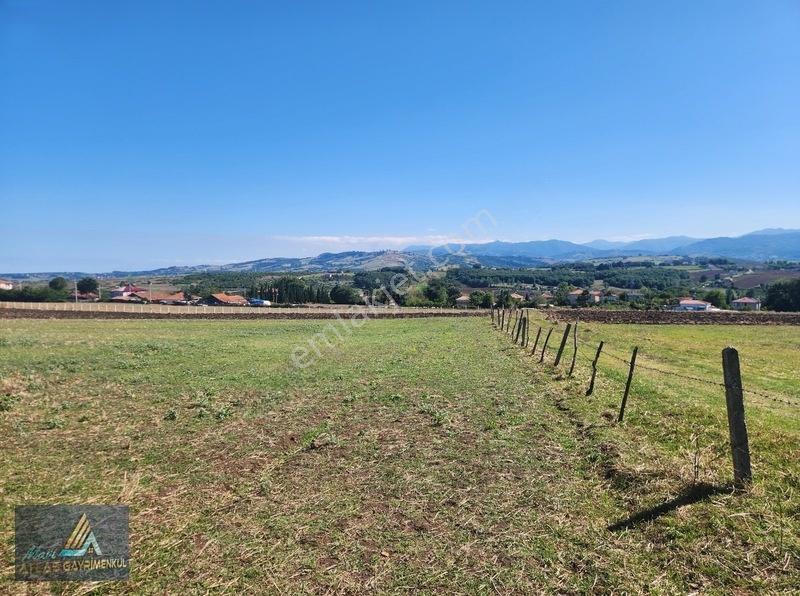 Mavi Atlas'tan Lengerli'de Resmi Ev Yapılabilir 2 Adet Parsel — fotoğraf 7