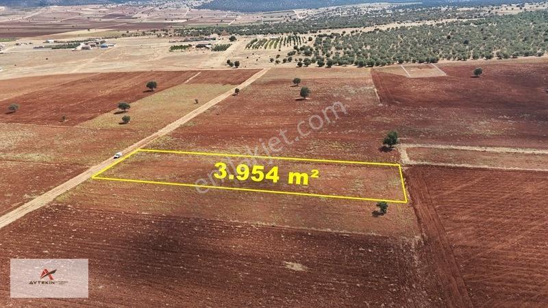 Akören Karahüyük Mahallesinde 3.954 M² Müstakil Tapulu Tarla — fotoğraf 4