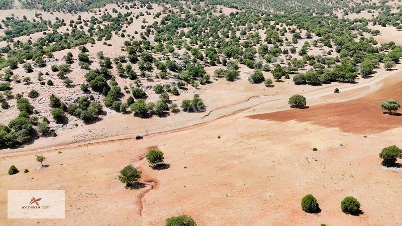Toprağa Yatırım Yapmak İçin Doğru Zamanı Bekleme! Muratdedede — fotoğraf 7