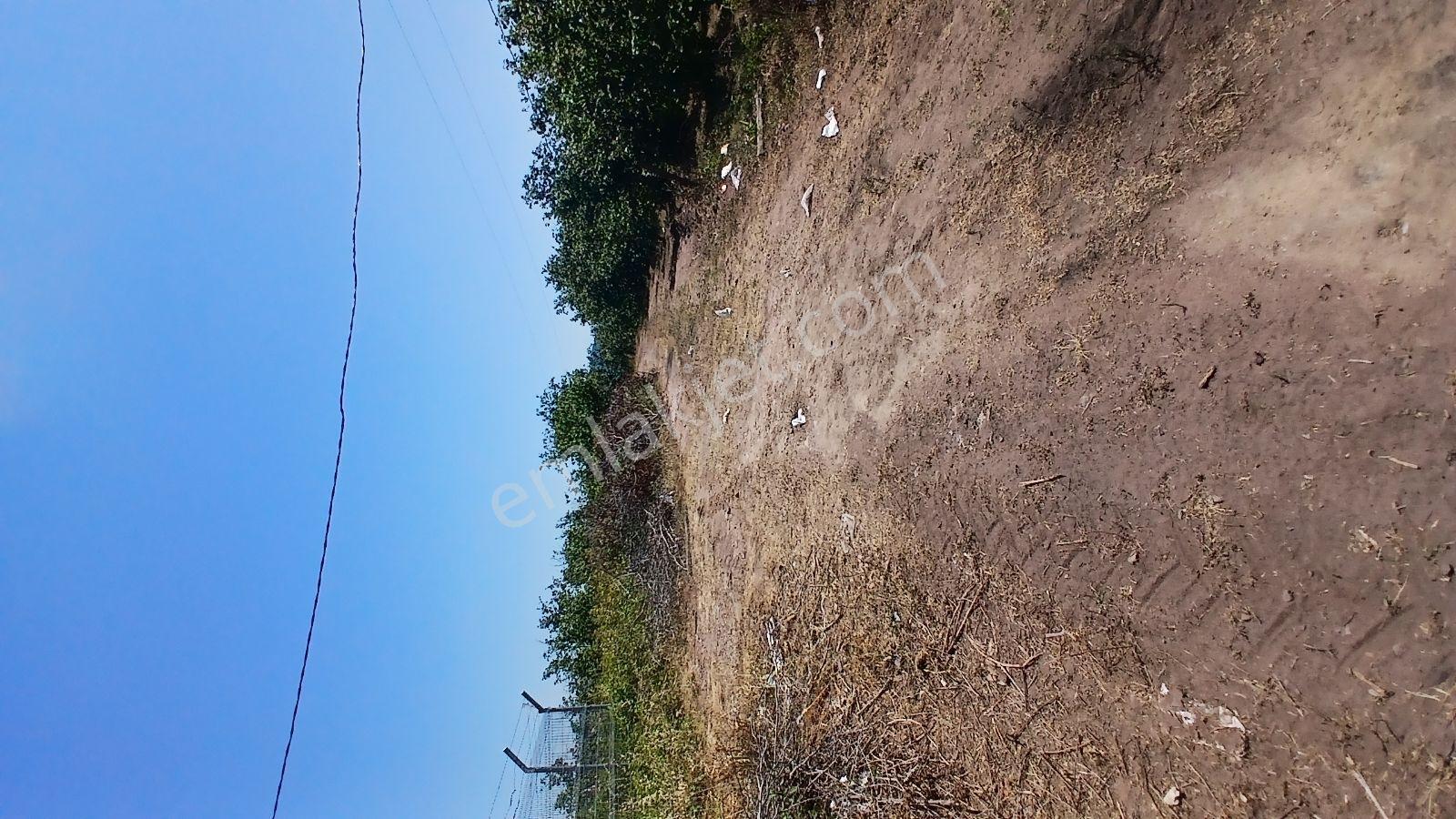 Karasu Ardıçbeli Mahallesi'nde İki Parsel Toplam 10892 M2 — fotoğraf 6