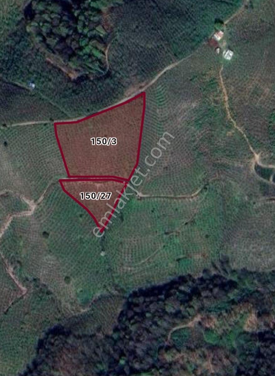 Karasu Ardıçbeli Mahallesi'nde İki Parsel Toplam 10892 M2 — fotoğraf 7