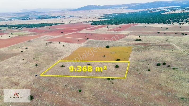 9 Dönümden Fazla Tek Parça Toprak! Üstelik Yolu Var — fotoğraf 2