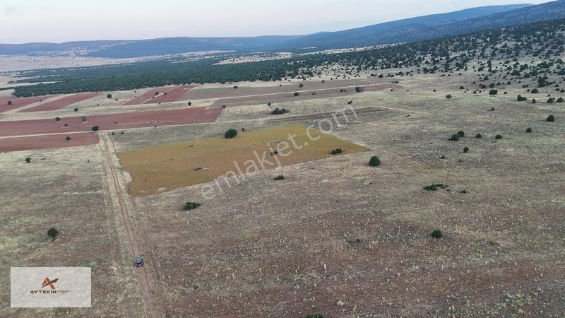9 Dönümden Fazla Tek Parça Toprak! Üstelik Yolu Var — fotoğraf 4