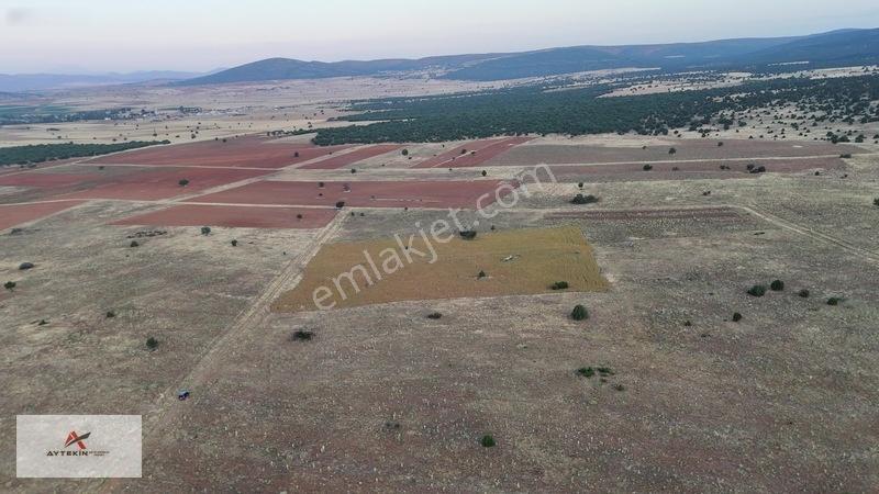 9 Dönümden Fazla Tek Parça Toprak! Üstelik Yolu Var — fotoğraf 5