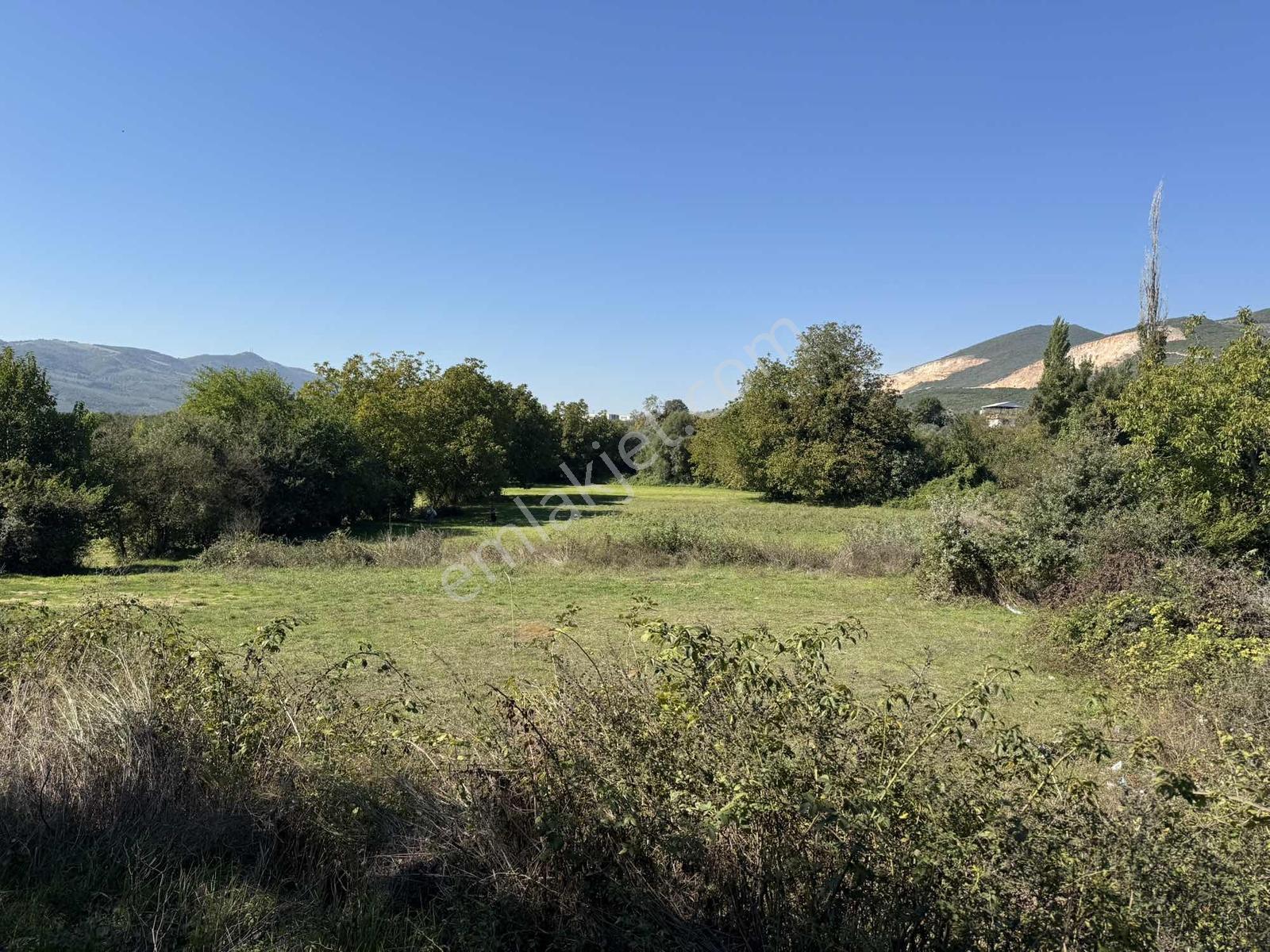Beka 'dan Gedelek'te 3 Ayrı Tapu Resmi Yol Toplam 5310 M2 Tarla — fotoğraf 3