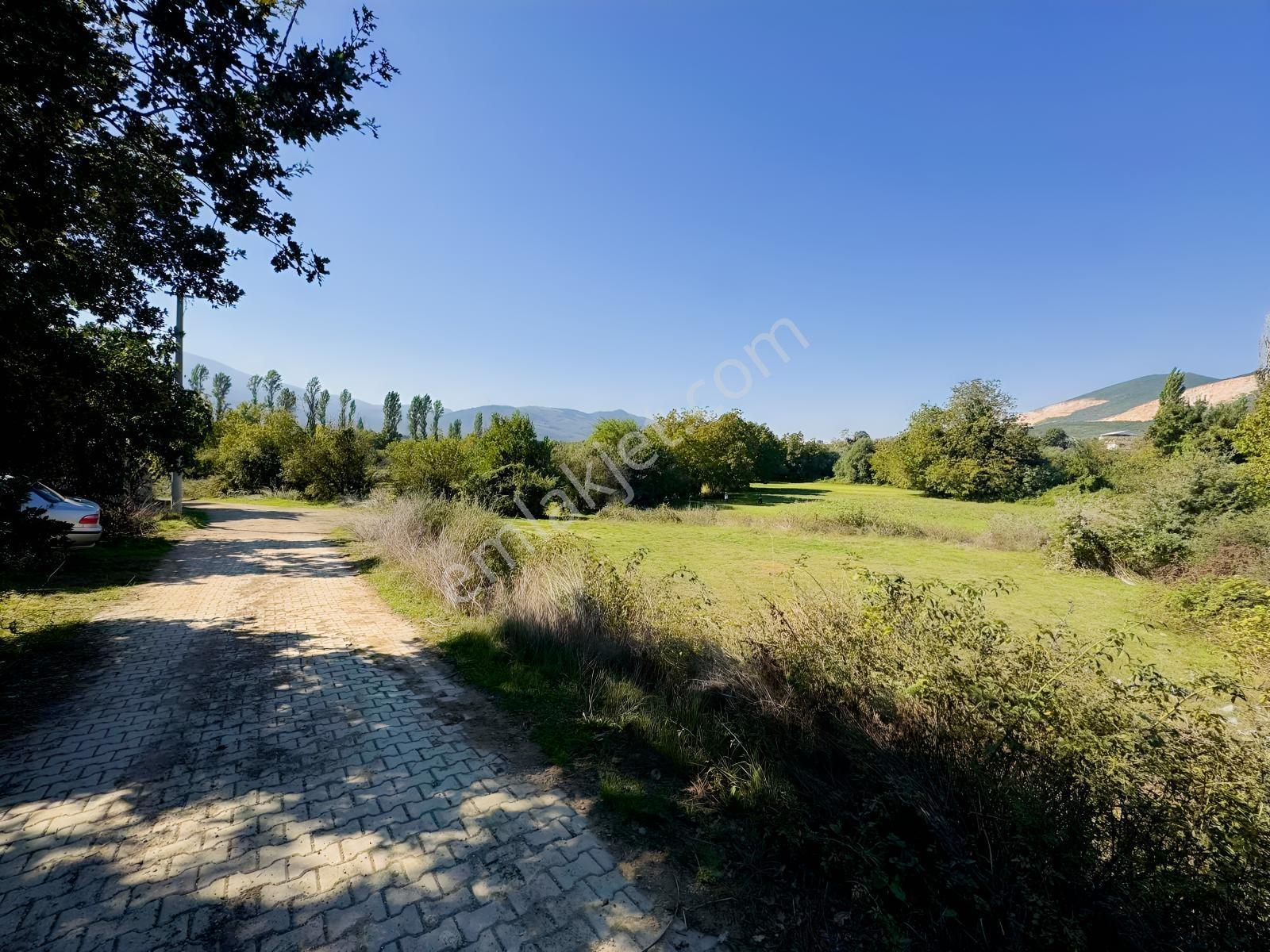 Beka 'dan Gedelek'te 3 Ayrı Tapu Resmi Yol Toplam 5310 M2 Tarla — fotoğraf 4