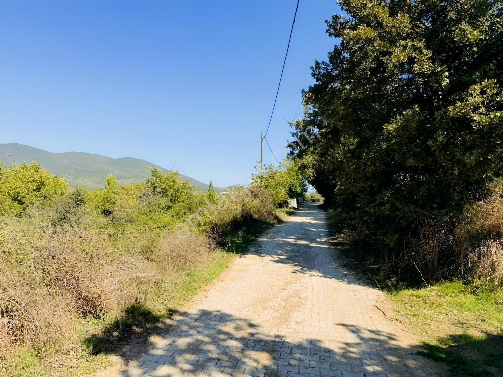 Beka 'dan Gedelek'te 3 Ayrı Tapu Resmi Yol Toplam 5310 M2 Tarla — fotoğraf 5