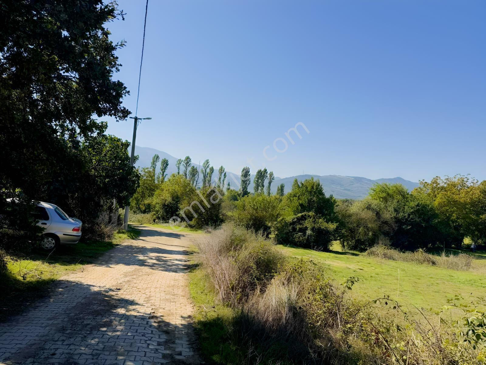 Beka 'dan Gedelek'te 3 Ayrı Tapu Resmi Yol Toplam 5310 M2 Tarla — fotoğraf 6