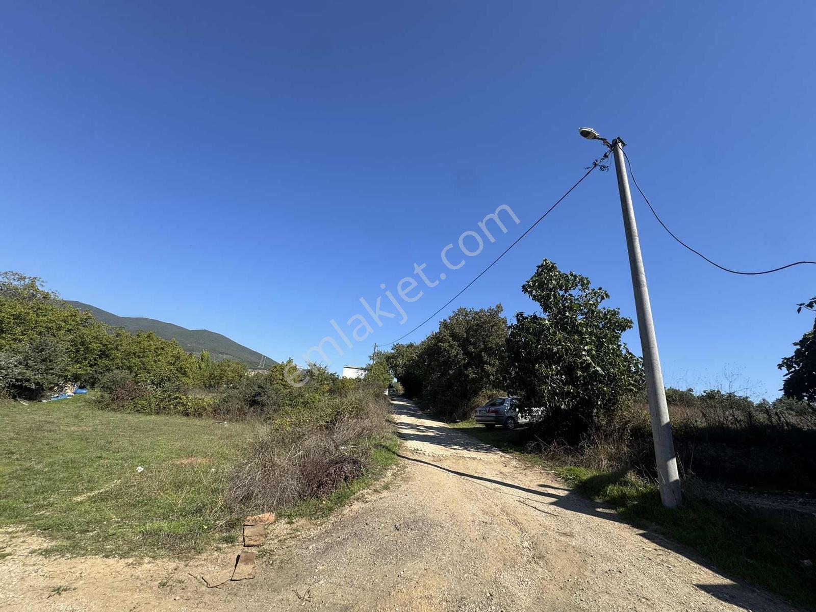 Beka 'dan Gedelek'te 3 Ayrı Tapu Resmi Yol Toplam 5310 M2 Tarla — fotoğraf 7