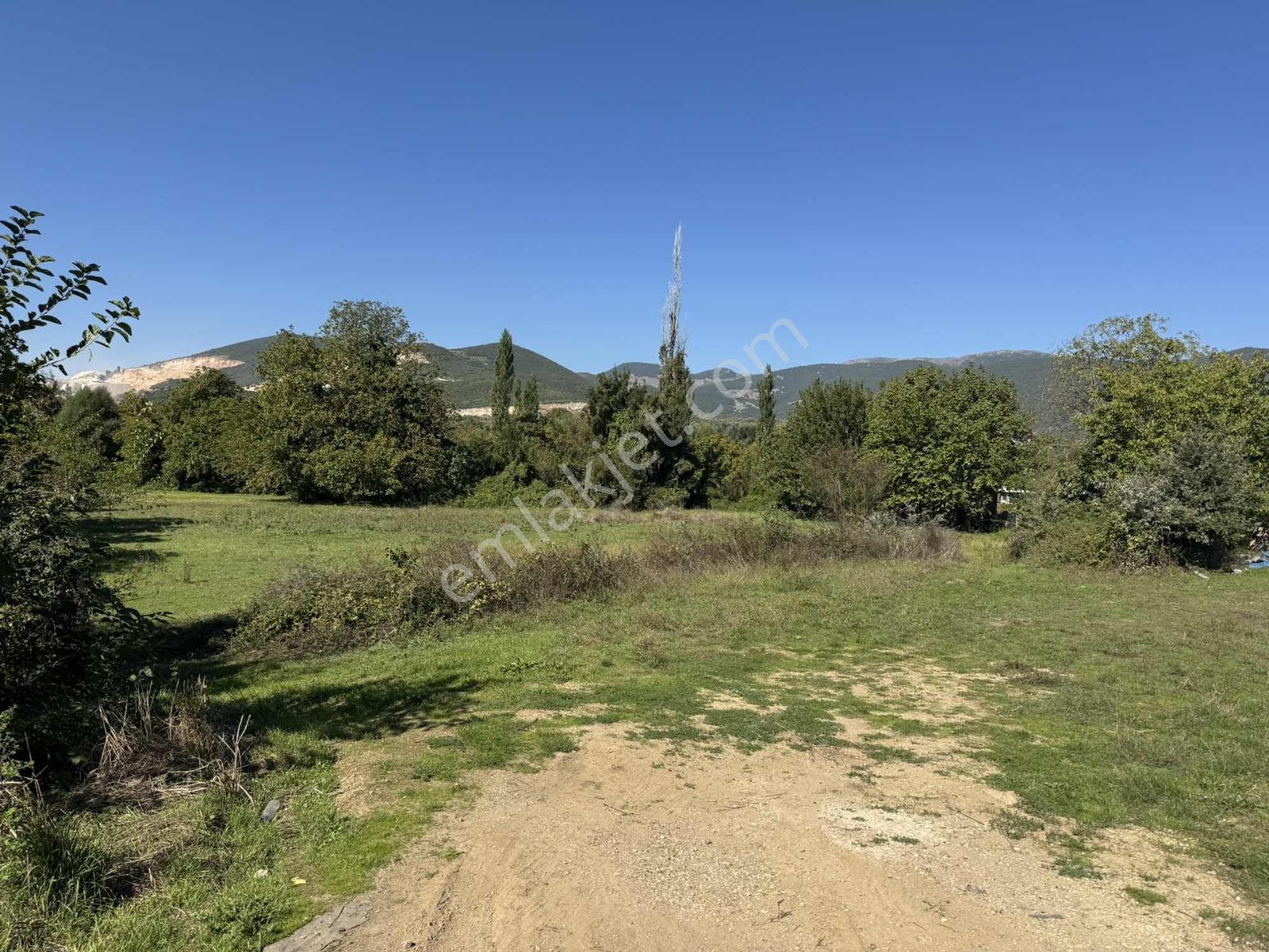 Beka 'dan Gedelek'te 3 Ayrı Tapu Resmi Yol Toplam 5310 M2 Tarla — fotoğraf 9