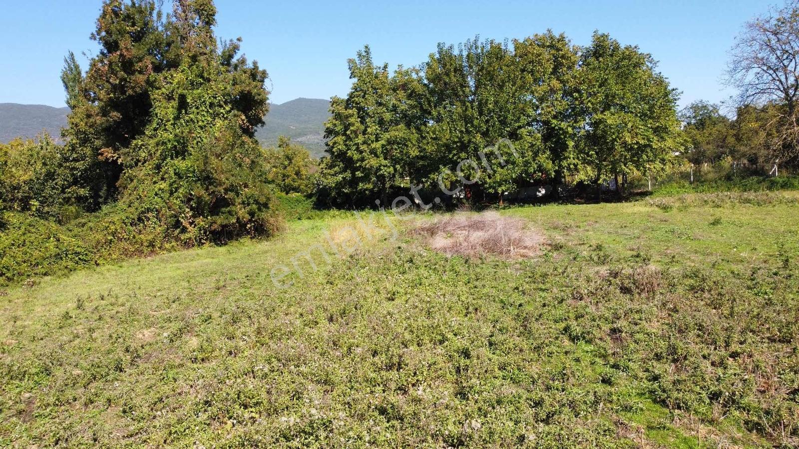Beka 'dan Gedelek'te 3 Ayrı Tapu Resmi Yol Toplam 5310 M2 Tarla — fotoğraf 12