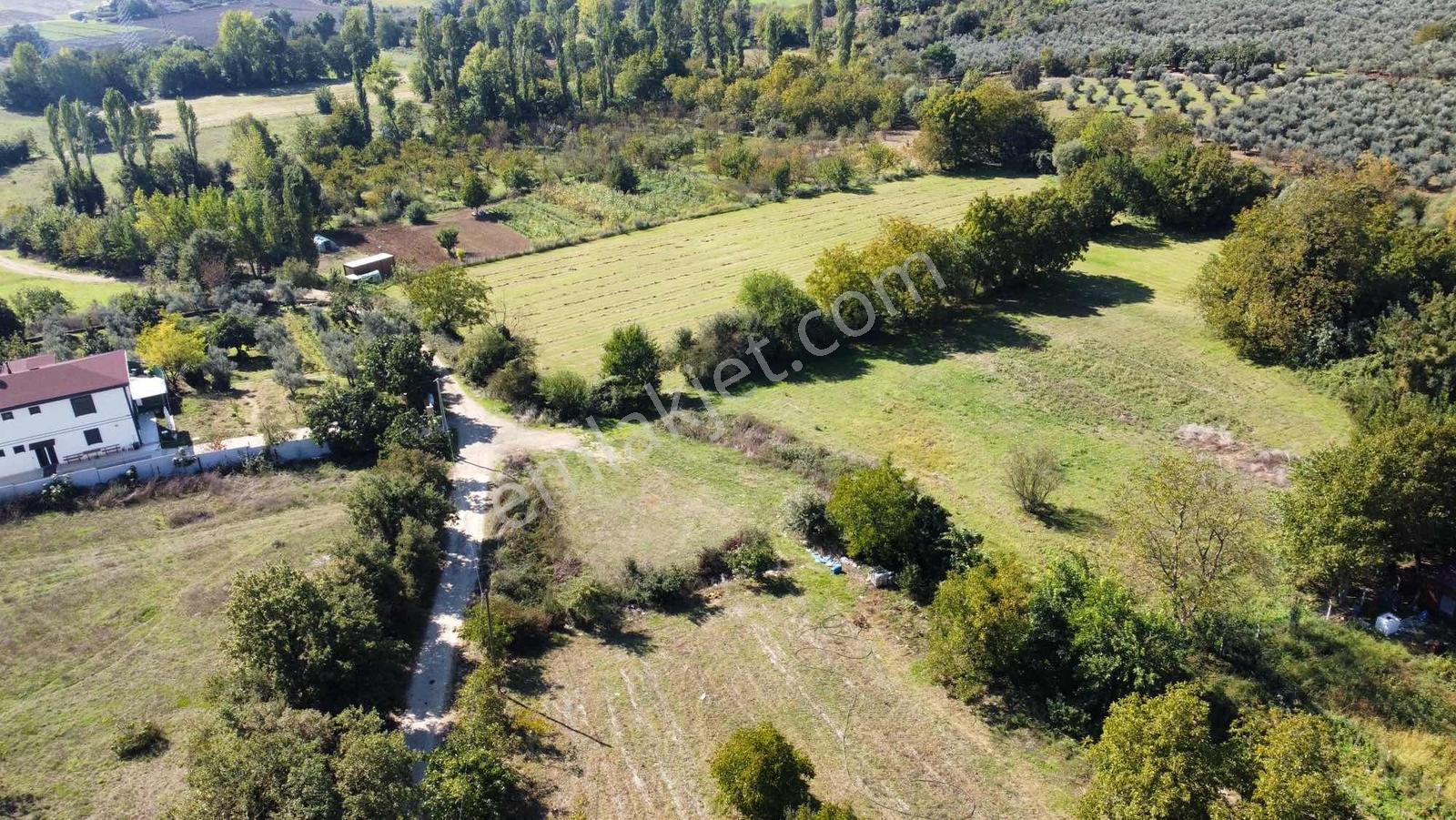 Beka 'dan Gedelek'te 3 Ayrı Tapu Resmi Yol Toplam 5310 M2 Tarla — fotoğraf 15