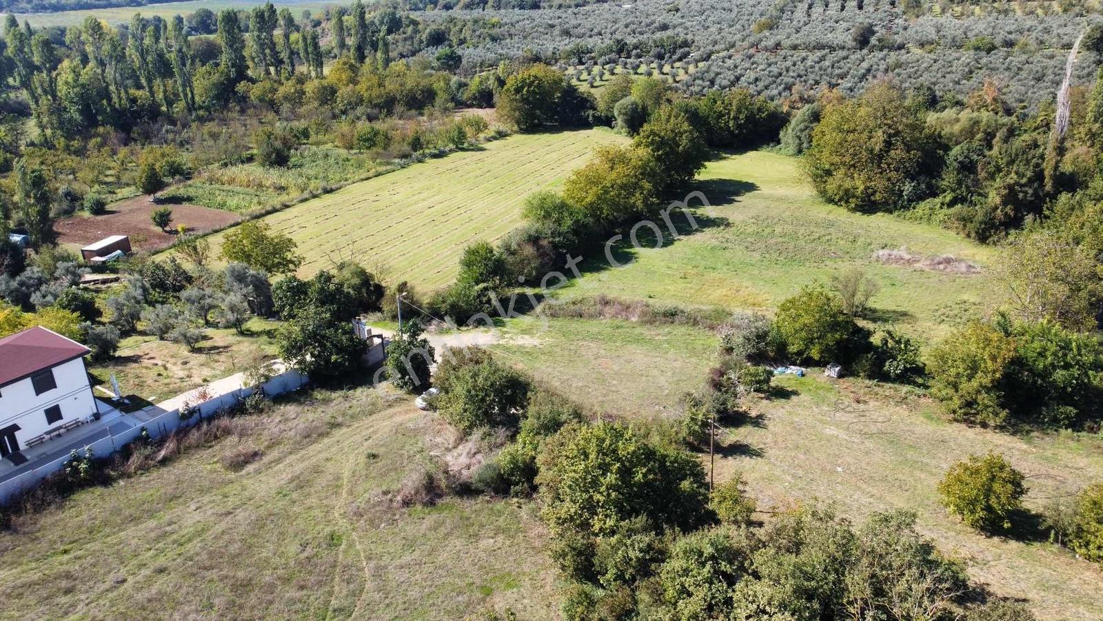 Beka 'dan Gedelek'te 3 Ayrı Tapu Resmi Yol Toplam 5310 M2 Tarla — fotoğraf 16