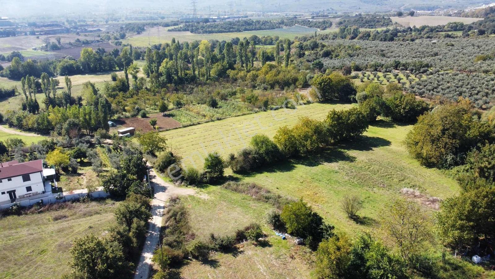 Beka 'dan Gedelek'te 3 Ayrı Tapu Resmi Yol Toplam 5310 M2 Tarla — fotoğraf 17
