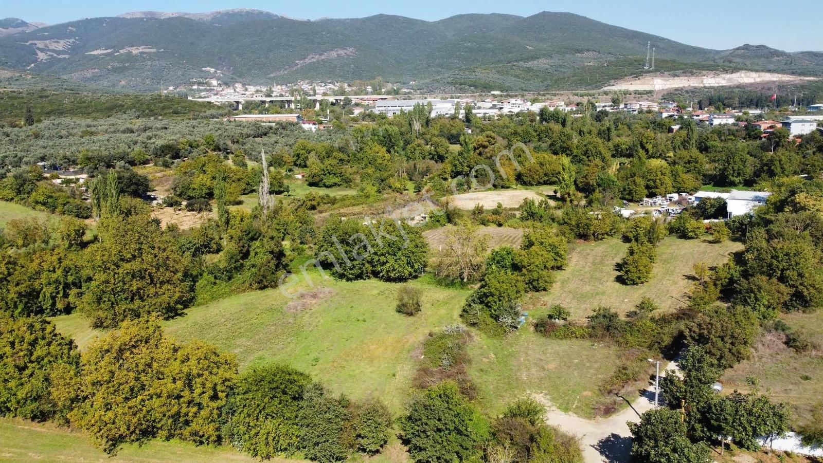 Beka 'dan Gedelek'te 3 Ayrı Tapu Resmi Yol Toplam 5310 M2 Tarla — fotoğraf 18