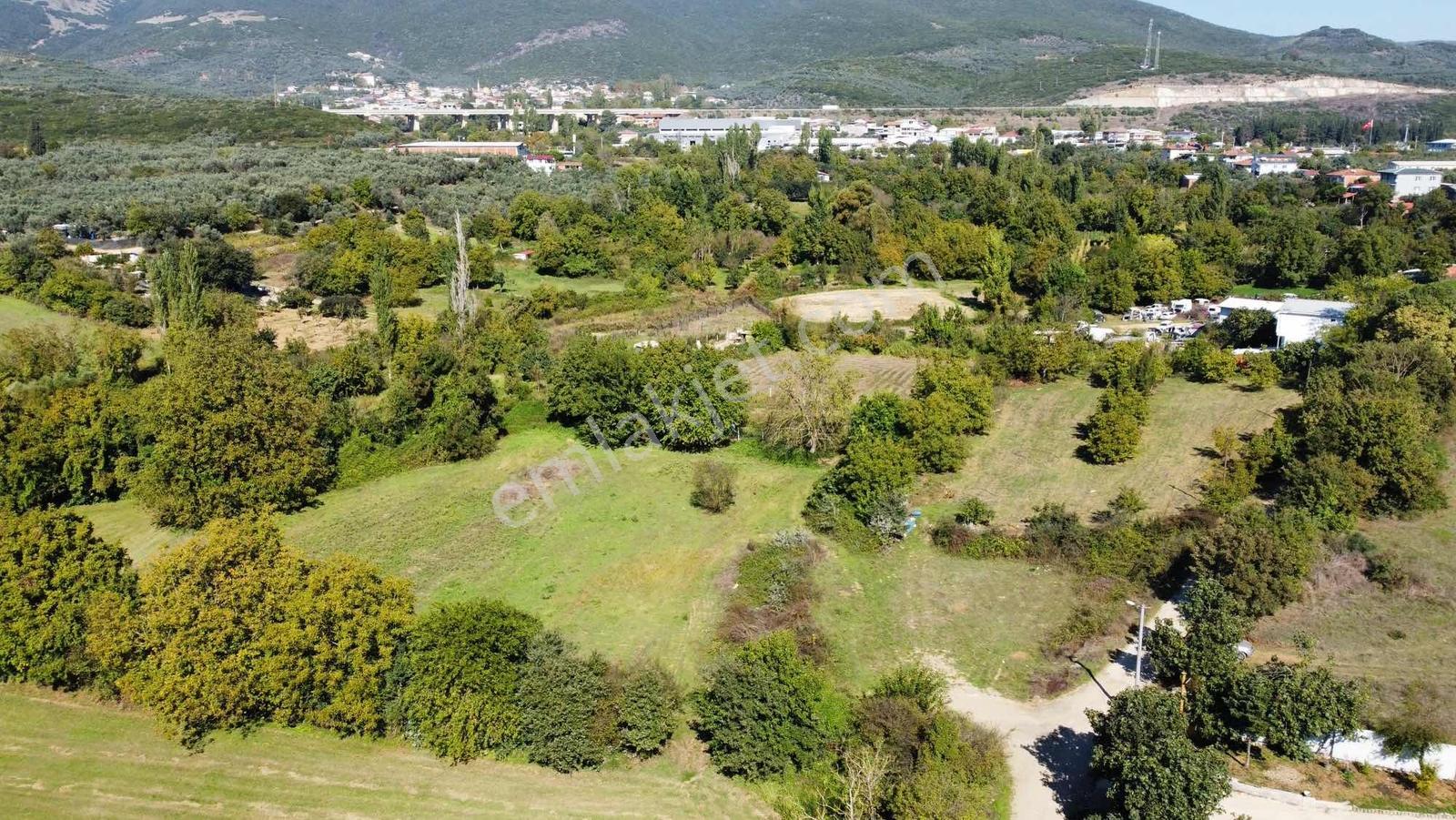 Beka 'dan Gedelek'te 3 Ayrı Tapu Resmi Yol Toplam 5310 M2 Tarla — fotoğraf 19