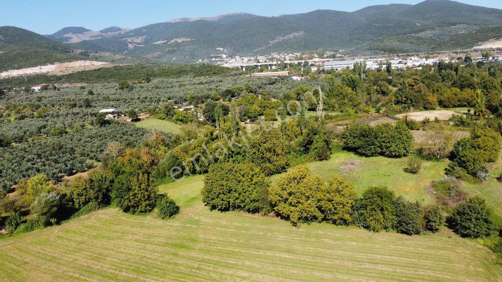 Beka 'dan Gedelek'te 3 Ayrı Tapu Resmi Yol Toplam 5310 M2 Tarla — fotoğraf 20