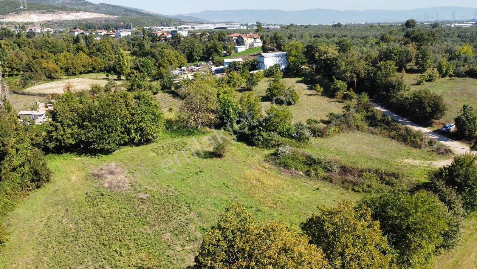 Beka 'dan Gedelek'te 3 Ayrı Tapu Resmi Yol Toplam 5310 M2 Tarla — fotoğraf 22