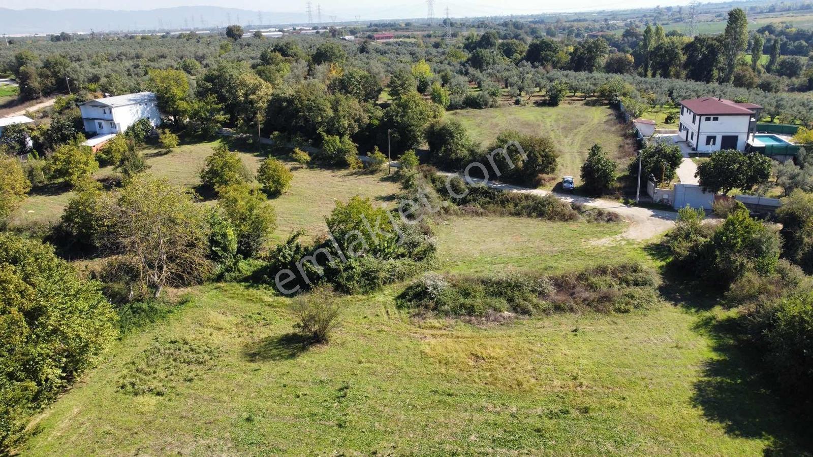 Beka 'dan Gedelek'te 3 Ayrı Tapu Resmi Yol Toplam 5310 M2 Tarla — fotoğraf 23