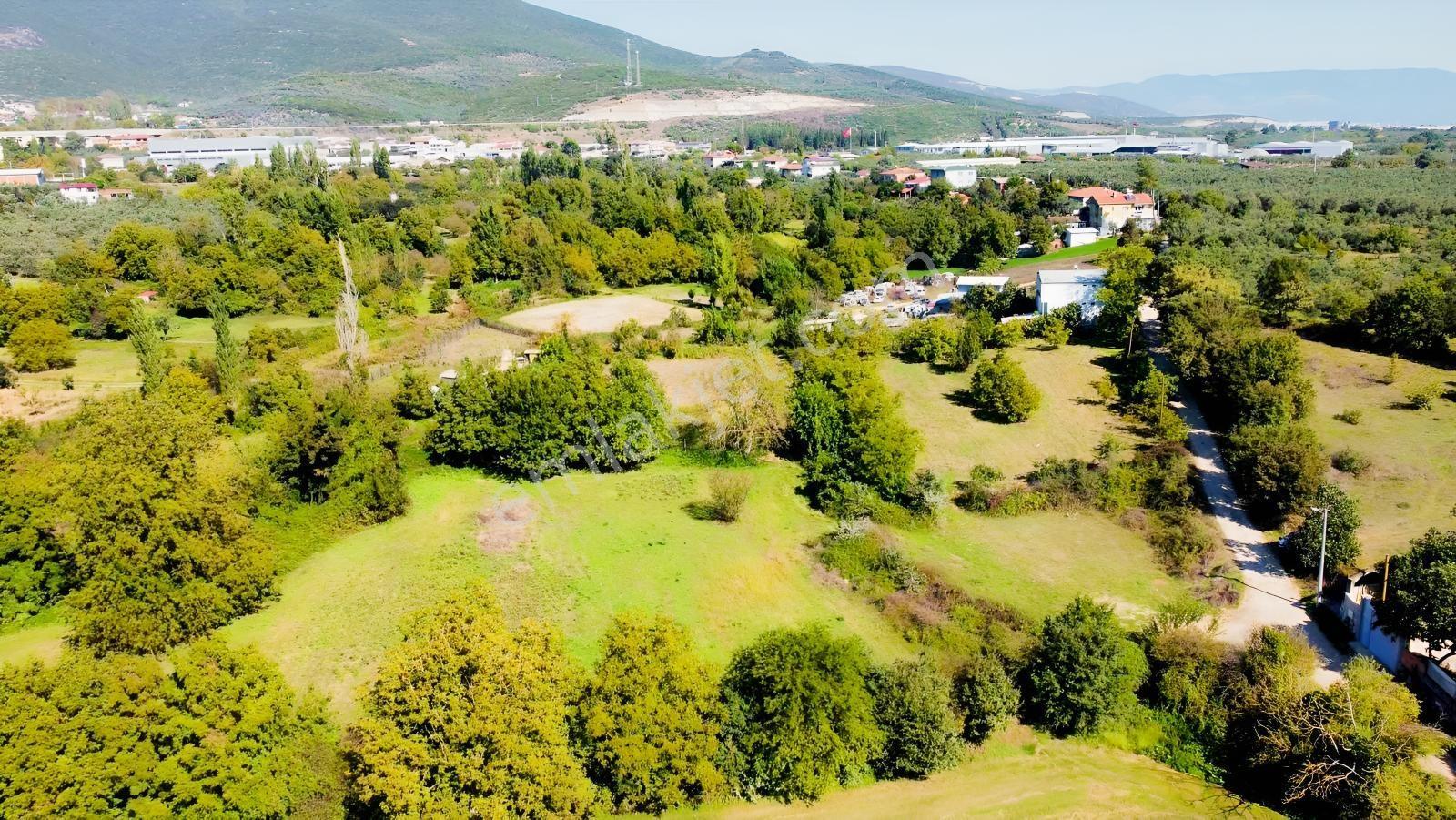 Beka 'dan Gedelek'te 3 Ayrı Tapu Resmi Yol Toplam 5310 M2 Tarla — fotoğraf 24