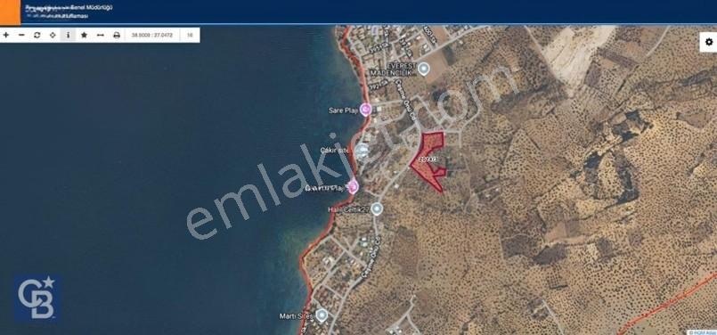 Cb Odak'Tan Şakranda İmar Sınırında 1832 M2 Zeytinli Tarla