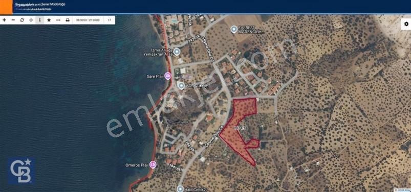 Cb Odak'tan Şakranda İmar Sınırında 1832 M2 Zeytinli Tarla — fotoğraf 2